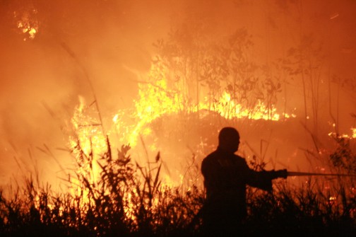 Fireman battling the blaze in the Semayan Forest Reserve